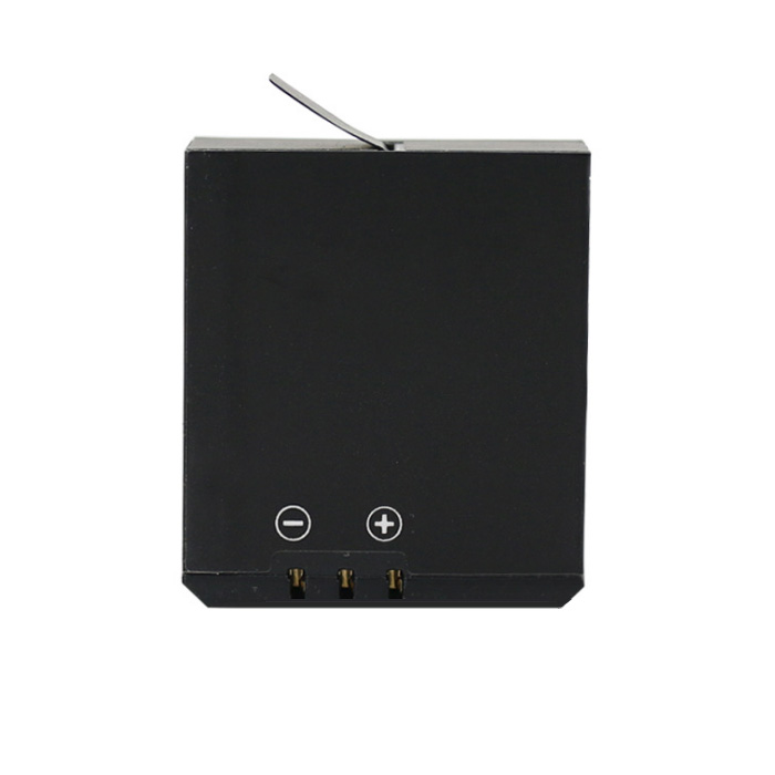 carnival sport camera batteries factory 1000mAh 4.35V
